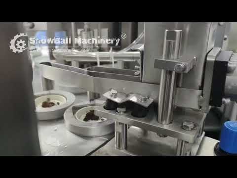 Rotary Ice Cream Filling Machine