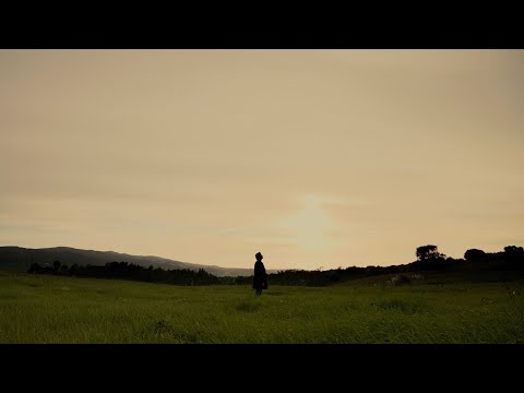 Salvador Seixas - Foi por ti