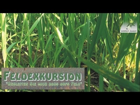64. Feldexkursion: Abschlußmaßnahmen im Weizen - NU Agrar, 18.05.2017