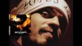 Le rat Luciano - Mode de vie complexe