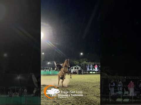 10 Fiesta Provincial del Gaucho en Fraga (San Luis)