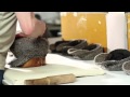 Stetson: The Making of a Legend - Cut & Sewn Hats