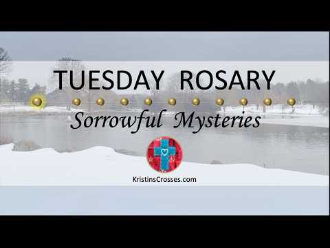 Tuesday Rosary • Sorrowful Mysteries of the Rosary 💜 Tuesday, February 24, 2026 VIRTUAL ROSARY
