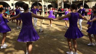 Concurs de colles Sardanistes 2017 - Banyoles -
