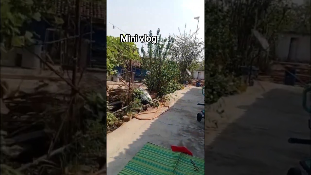 sadi wala mini vlog 🥰#shweta_Nuruti #shortsfeed #minivlog #viralminivlog #cgsadi #cglifestyle