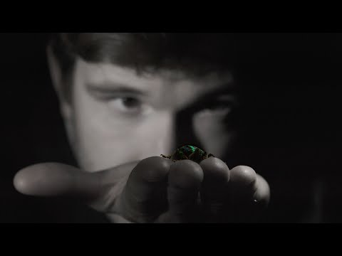 Beter dan Jij - Mathieu & Guillaume [OFFICIAL VIDEO]