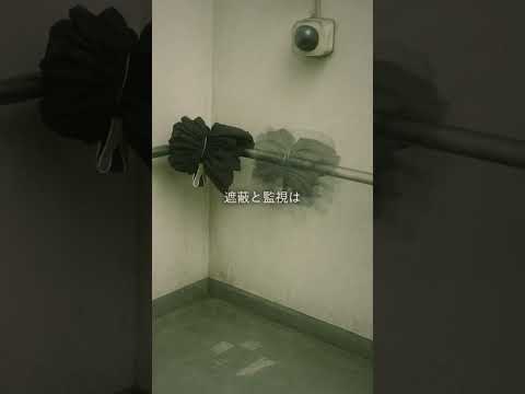 直視回避は02:40–03:20