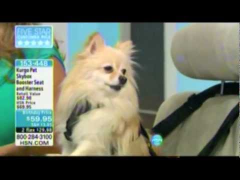 Kristen Levine on HSN Today (Clip 1)