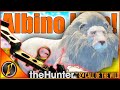Wir Haben Einen RIESIGEN ALBINO LÖWEN Mit Dem BOGEN Erlegt TheHunter Call Of The Wild
