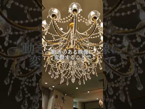 写真から魅力的なAI動画を制作します イメージ1