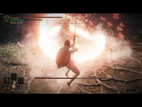 somehow killing malenia with bow only when I was just trying to test some stuff out (no summons)