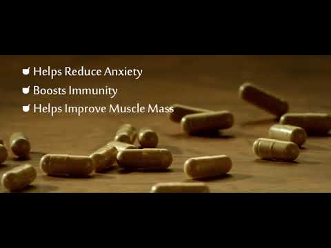 https://www.youtube.com/embed/0nFsuAHRL7I
