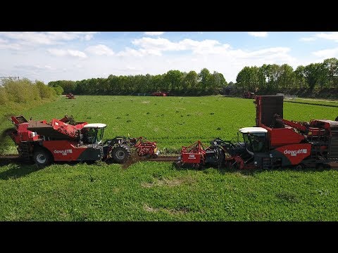 5 DEWULF self-propelled harvest vegetables