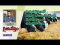 Raithu Nestham D T 10 01 2020 Topic Pasuposhanalo Samagra Dhana Tayaree Melakuvalu Upayogalu