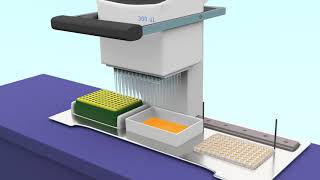 Freelance Lab Animation