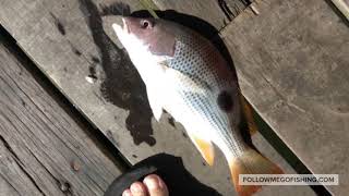 preview picture of video '2 days 1 night Fishing Trip to Pontian Kelong Sri Pantai'
