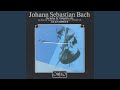 Cello Suite No. 6 in D Major, BWV 1012: IV. Sarabande