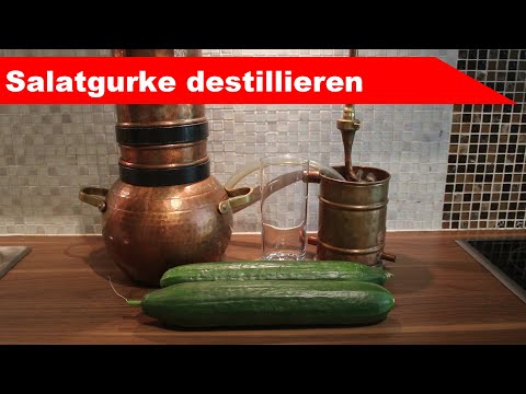 🌷 Salatgurke destillieren 🌻 - wie bei manchen Gin-Rezepten - diSTILLed