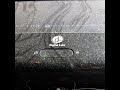 Opening To DUMBO 1989 VHS