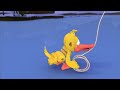 Day 11 Duck Tries To Catch The Christmas Star