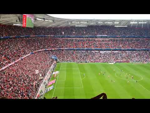 Full Bayern Goal Celebration Harry Kane in 4K Allianz Arena