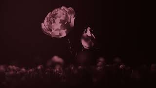 Janes Addiction - &quot;True Love&quot; (Official Lyric Video)