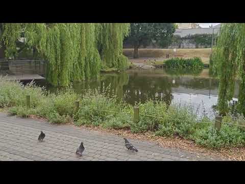 YouTube Preview Image