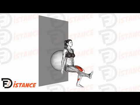 Exercice Squat sur une jambe avec ballon (Swiss Ball)