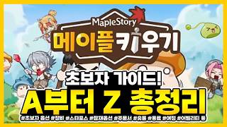 초보자 A부터 Z까지 총정리