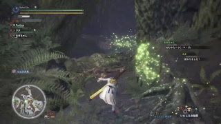 [MHW]  ｴﾝｼｪﾝﾄ　ﾚｰｼｮﾝ　出勤前に一勝負！