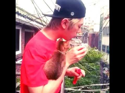 140517 JJCC - 더블제이씨 San Cheong Update