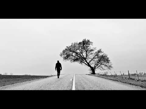 Arcone l Direcciones l Fresh Dog