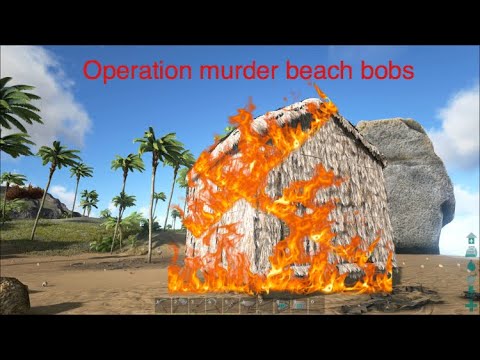 Operation murder beach bobs||ark PS4