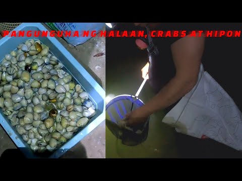 Pangunguha ng Halaan Hipon at Crabs