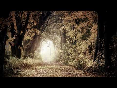 Hašim Kučuk Hoki - Zvjezda tjera mjeseca