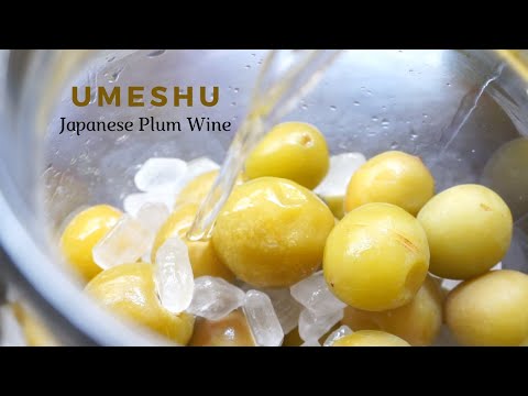 #16  How to Make Delicious Homemade Japanese Umeshu from Scratch | Japanese Plum Wine