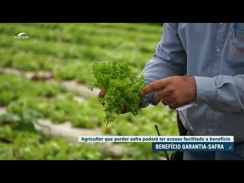 Senado aprova mudanças no benefício garantia-safra
