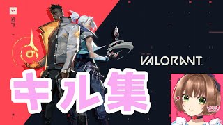 【VALORANT】れいーたさんになりたい人のキル集