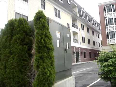 Lincoln Place Mansfield MA