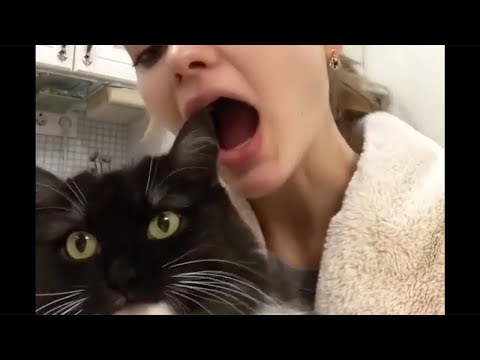 Was Tiere So Denken 81