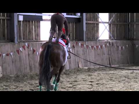 Biberbande Weihnachtsvolti