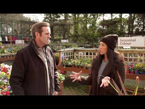 Super Garden - Episode Two Teaser