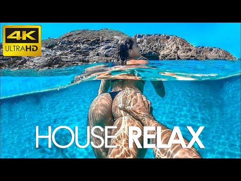 4K Adriatic Summer Mix 2024 ???? Best Of Tropical Deep House Music Chill Out Mix By The Deep Sound