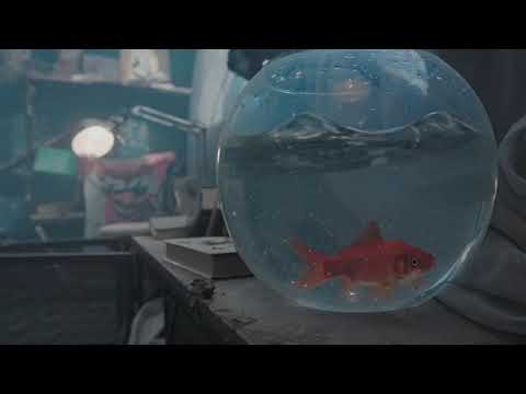 MXGP 2019 Announcement Trailer FRA