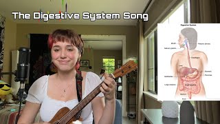 The Digestive System Song