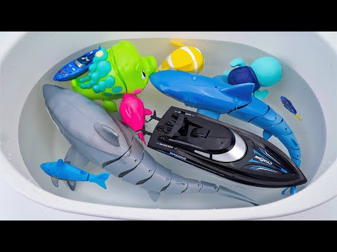 [Toy asmr] RC White Shark & Water Animals & Racing Boat Playset ASMR Satisfying with Unboxing