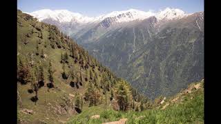 | Pranamera Art | Quantic, Flowering Inferno - A Life Worth Living |