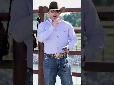 Why You Should Use a Snaffle Bit to Train Your Horse