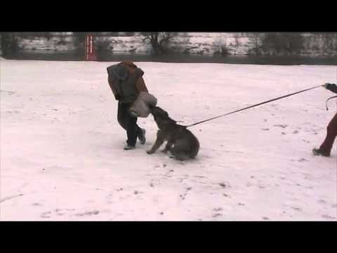 Avanti Levemar - protection 2/2013