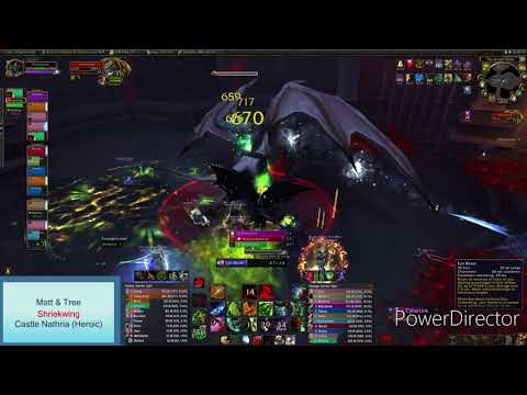 ShriekWing (Raid Guide - HEROIC)